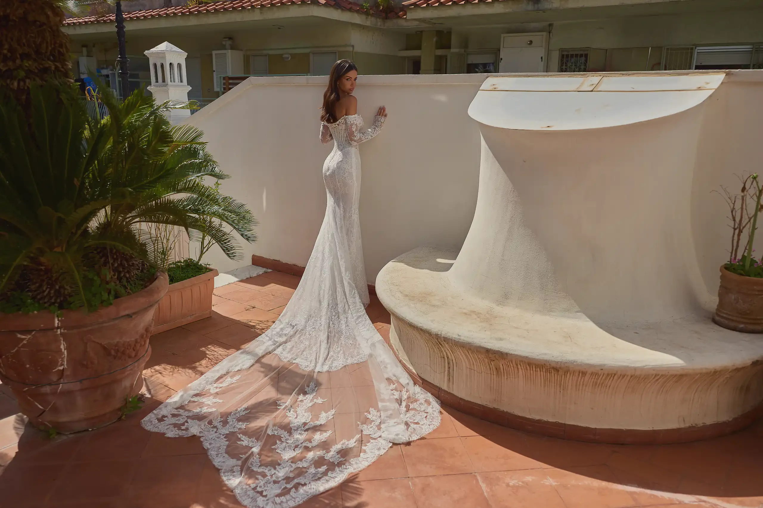 Brisea – Capri
